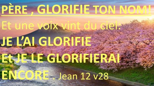 CERISIERS DU JAPON_page-0001